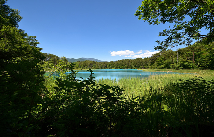 福島県 五色沼